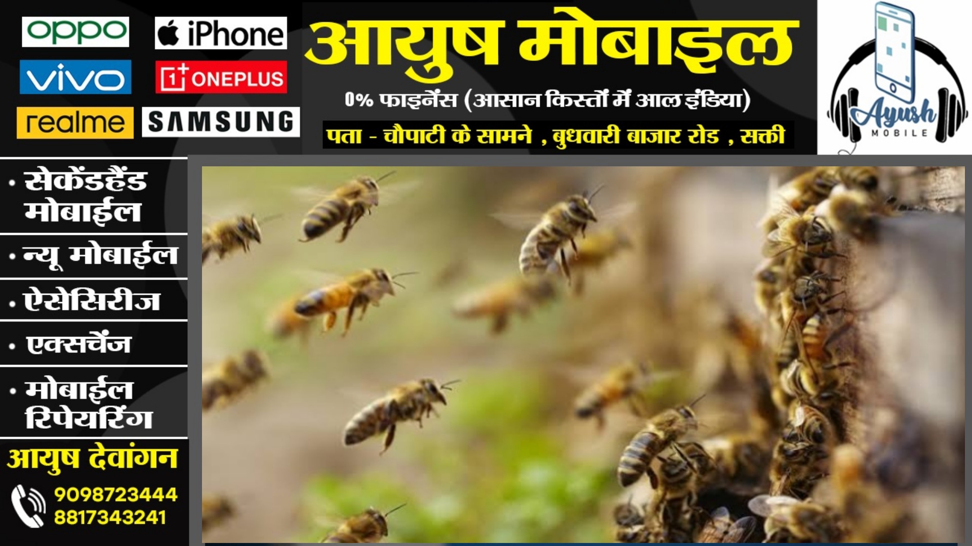 छत्तीसगढ़ - ध्वजारोहण के दौरान मधुमक्खियों का हमला , दो छात्र सहित 06 लोग घायल