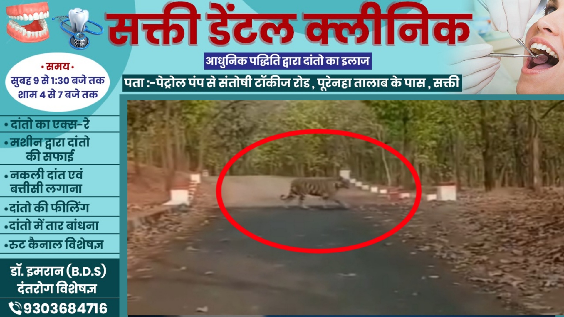 छत्तीसगढ़ - रिहायशी इलाके में चहलकदमी करते नजर आया बाघ , लोगो मे दहशत का माहौल