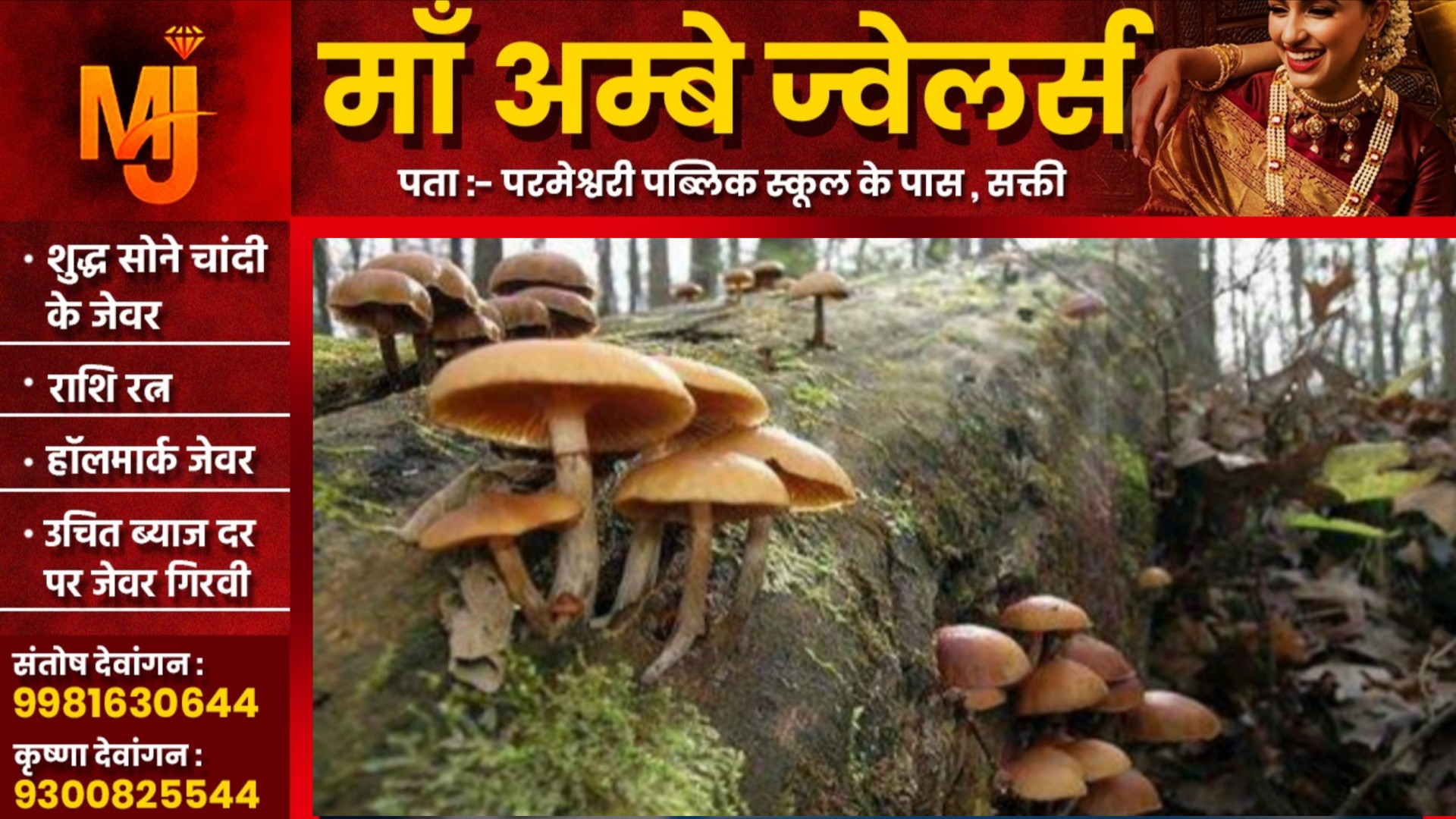 छत्तीसगढ़ - मशरूम की सब्जी खाना परिवार को पड़ा भारी , 04 लोग पड़े बीमार , ईलाज जारी