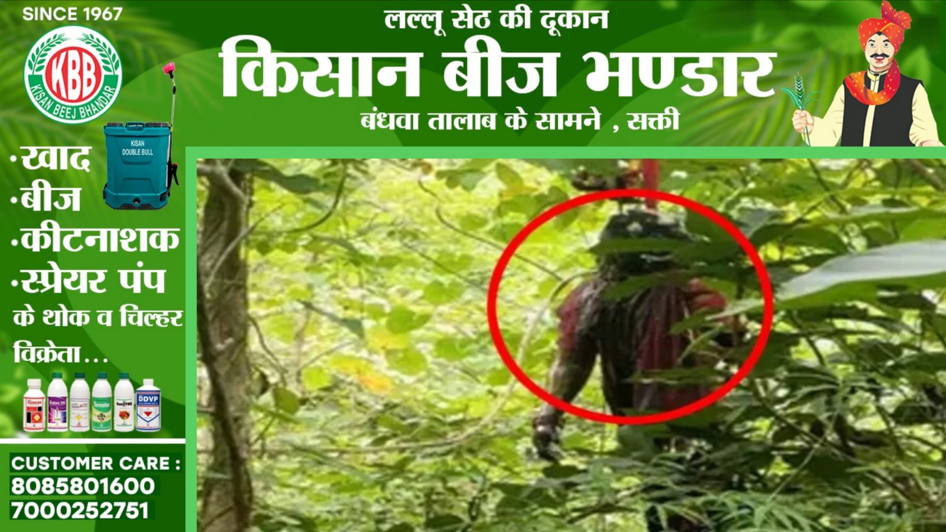 छत्तीसगढ़ - सड़ी गली हालत में प्रेमी जोड़े की पेंड़ पर लटकी लाश मिलने से मची सनसनी , पुलिस जांच में जुटी