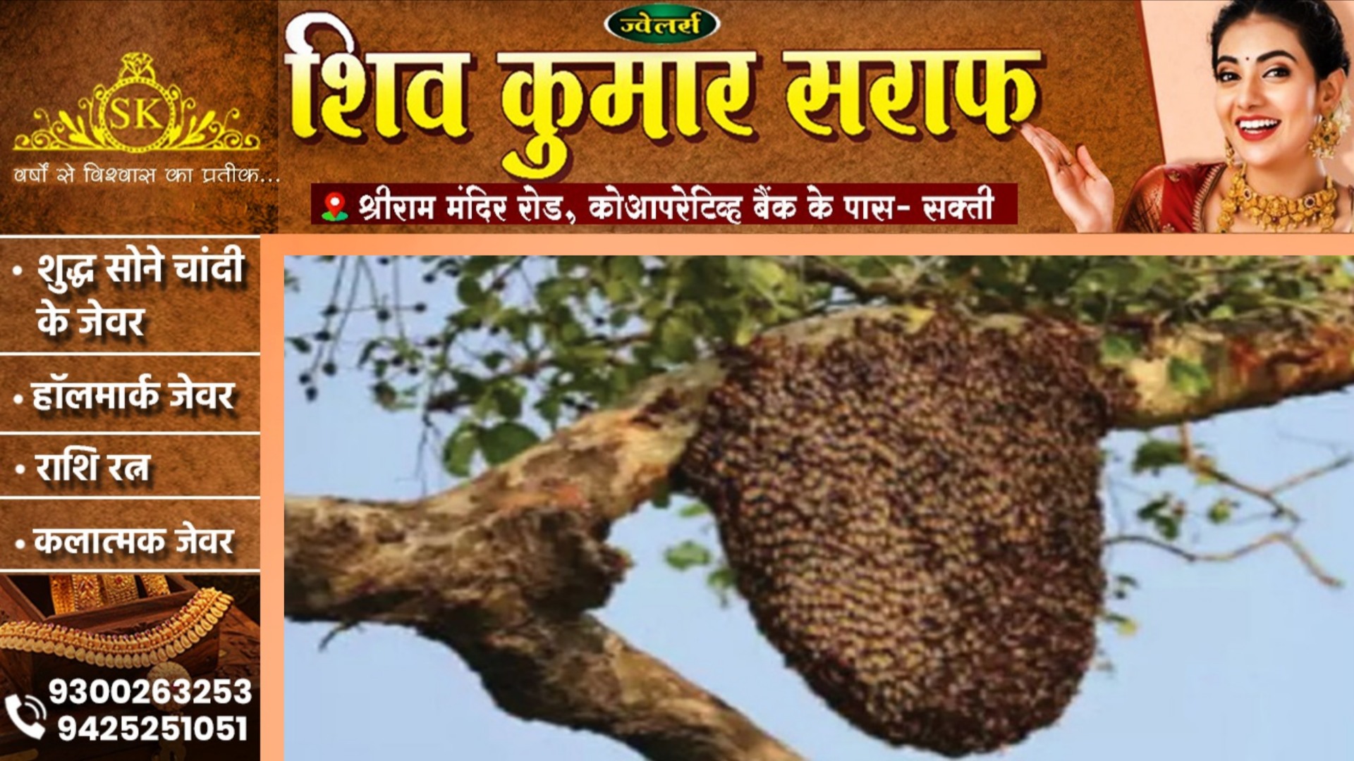 छत्तीसगढ़ - ग्रामीणों पर मधुमक्खियों के झुंड ने किया हमला, दो की मौत और कई घायल