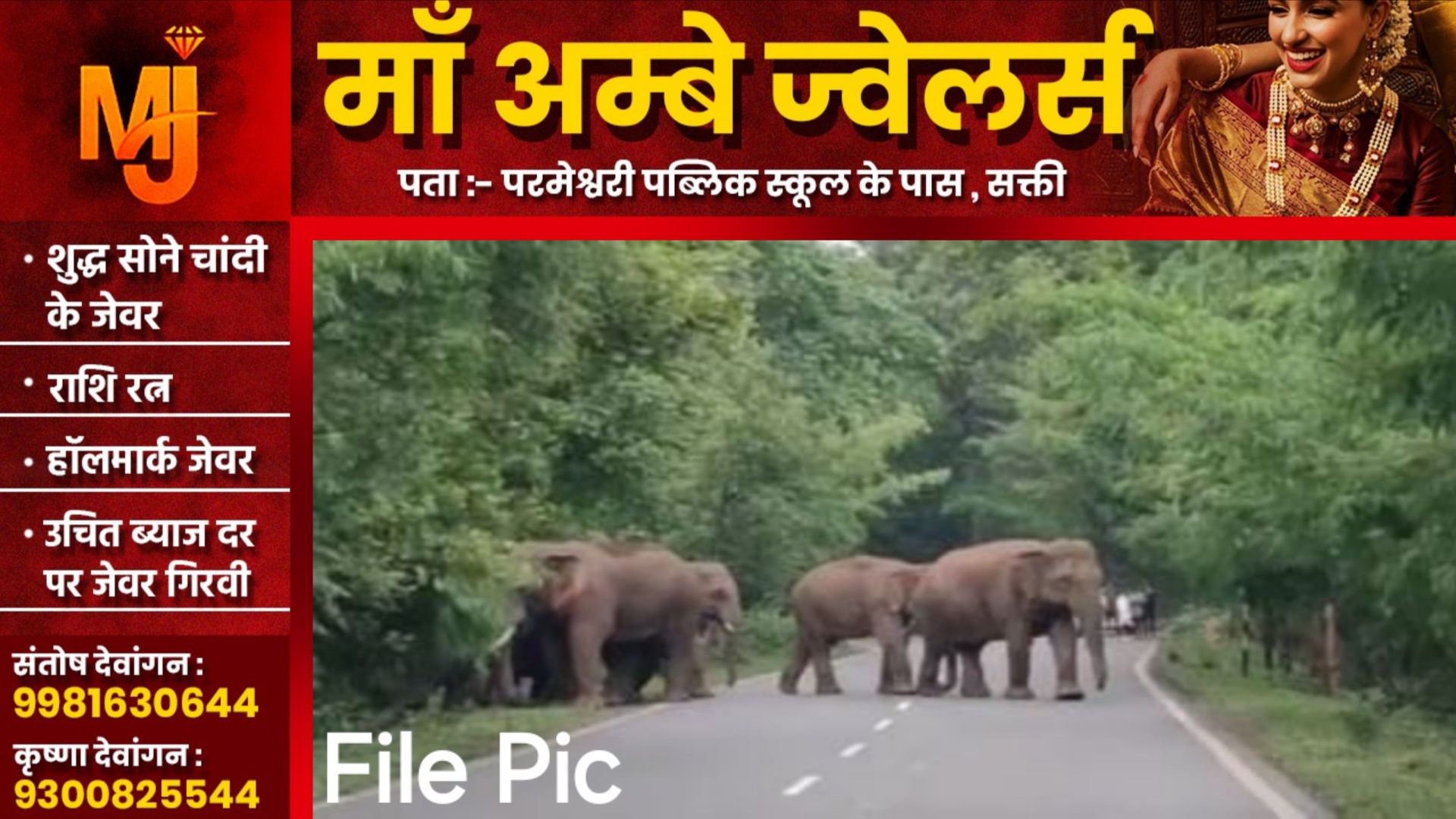 सक्ती शहर के नजदीक पँहुचा 07 हाथियों का दल, ग्रामीणों में दहशत का माहौल, वन विभाग अलर्ट मोड पर