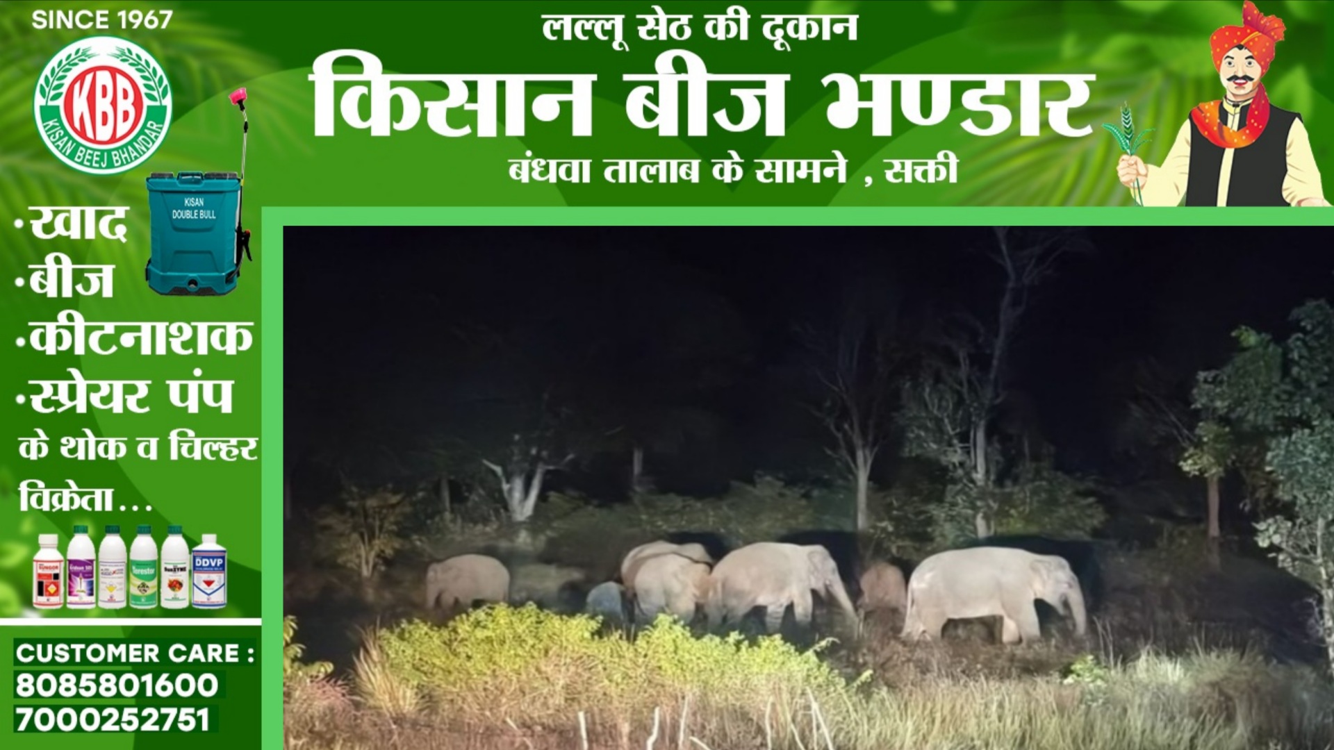 सक्ती शहर के नजदीक पँहुचा 15 हाथियों का दल, मचा रहा है भारी तबाही, वन विभाग अलर्ट मोड पर