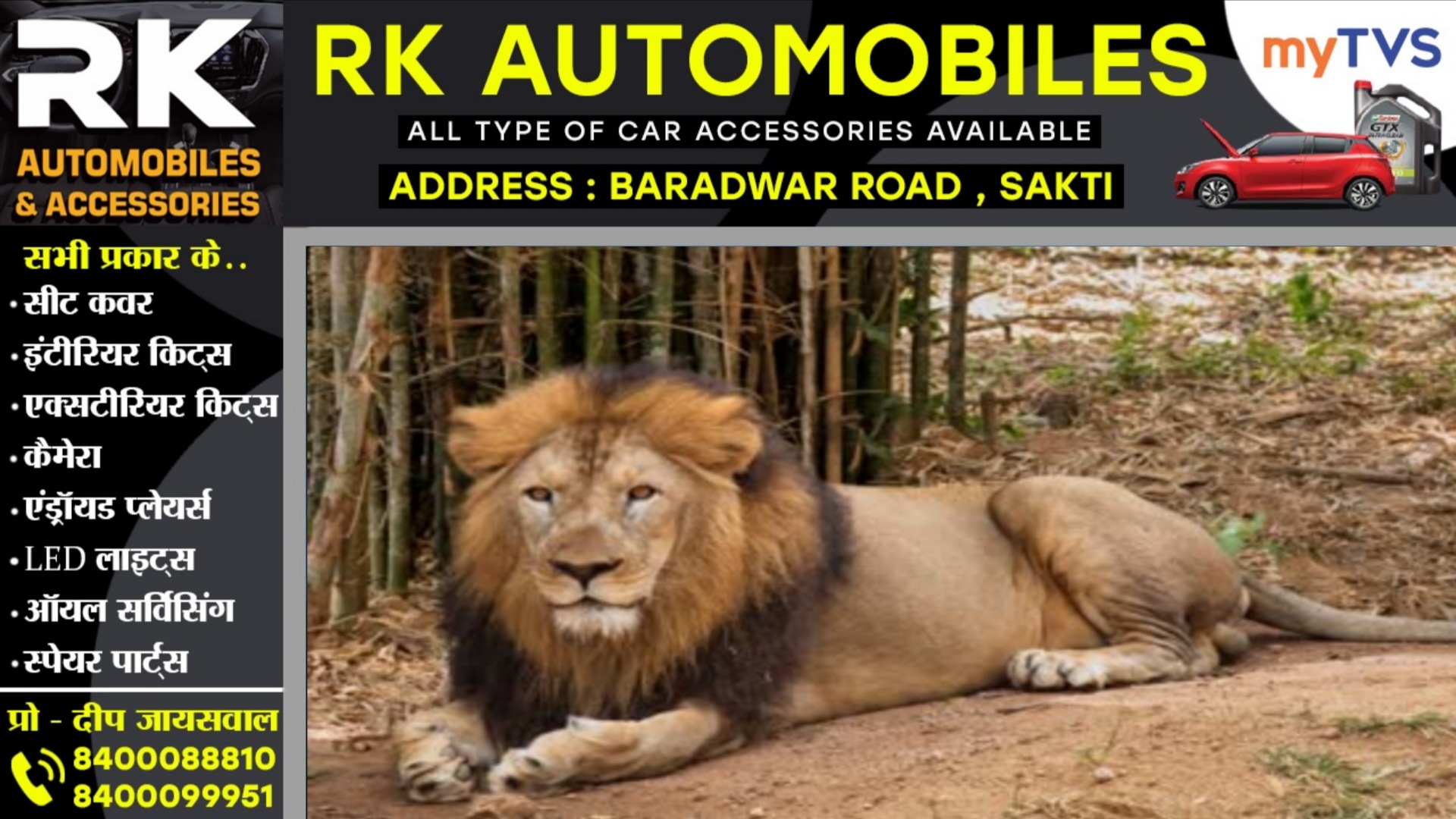 छत्तीसगढ़ - रिहायशी ईलाके में शेर की दस्तक से लोगो मे दहशत का माहौल, वन विभाग अलर्ट मोड पर