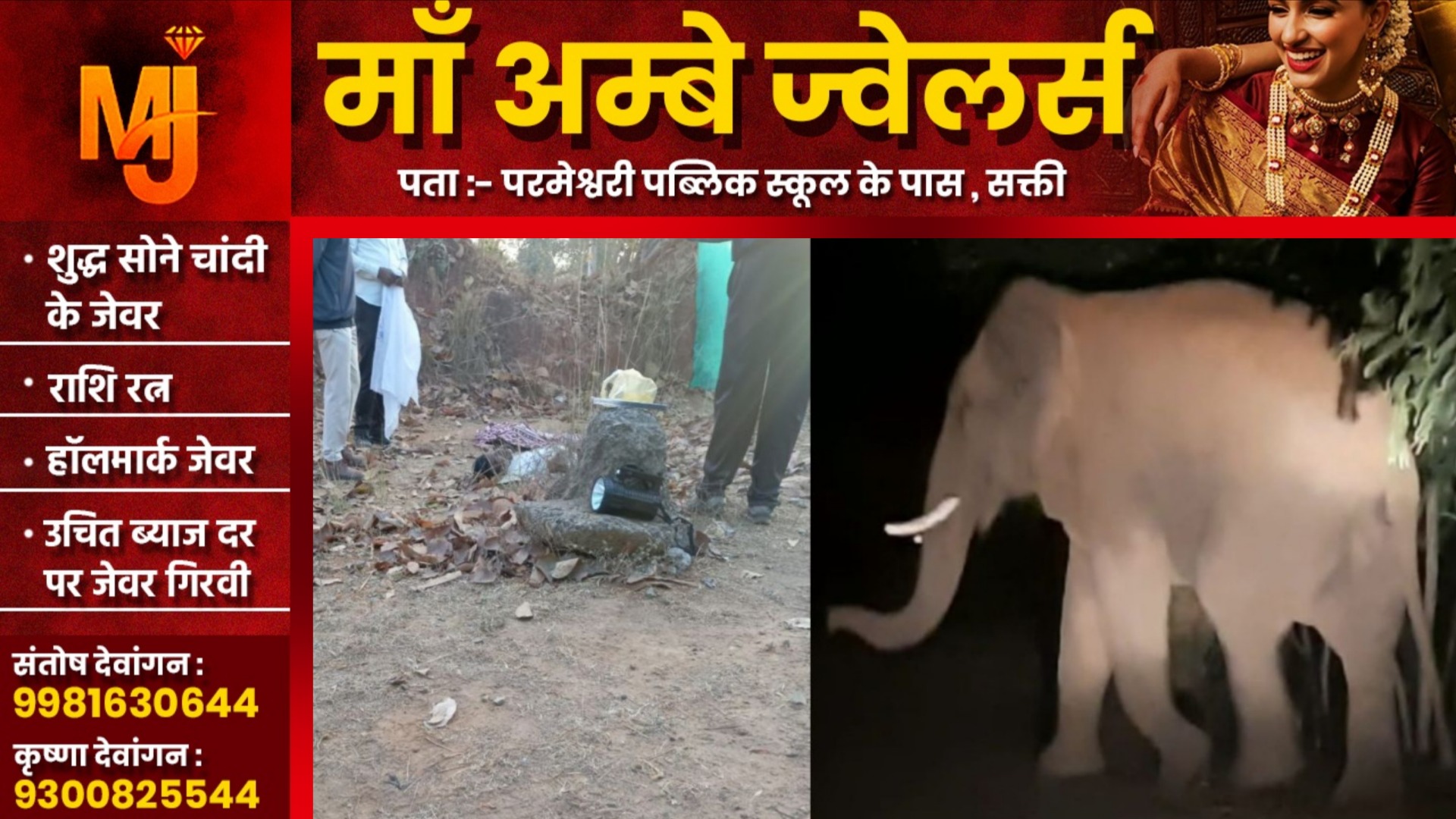 छत्तीसगढ़ - धान खरीदी केन्द्र में घुसा हाथी, खरीदी प्रभारी को कुचल कर उतारा मौत के घाट