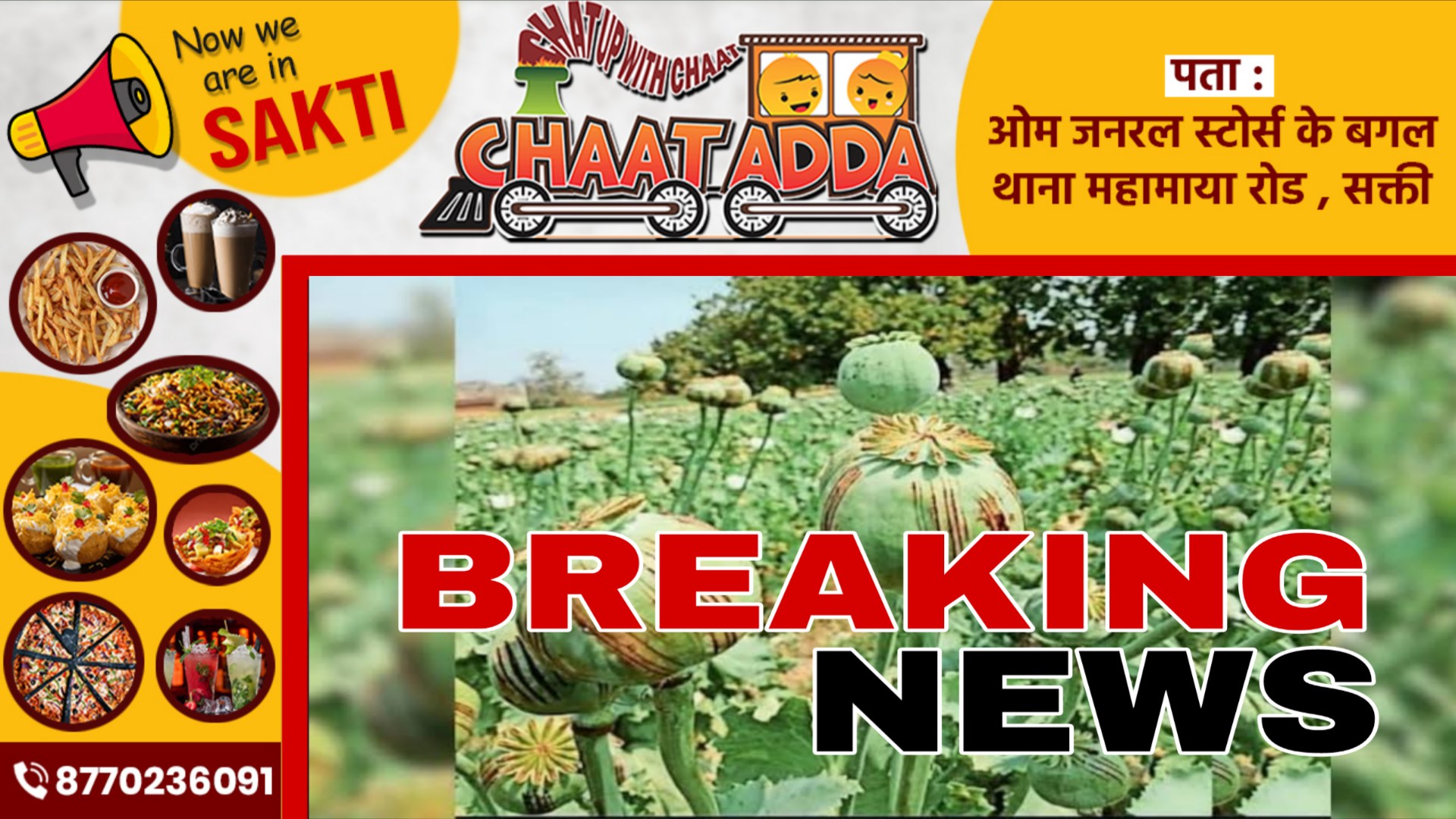 छत्तीसगढ़ - अफीम की खेती पर बड़ा खुलासा, अफीम को मक्का बता कर ले रहे थे सरकारी योजना का लाभ