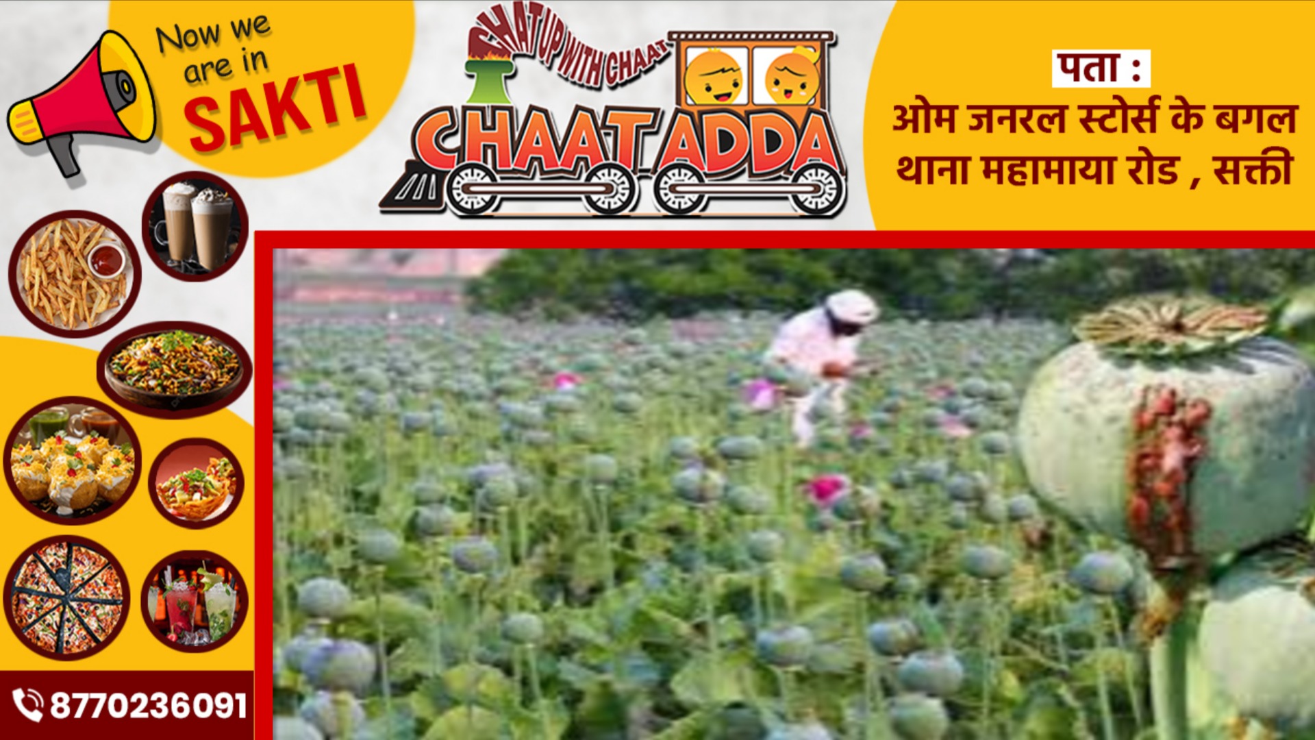 छत्तीसगढ़ के इस जिले में फिर पकड़ाई अफीम की खेती, तीन किसानो ने 27 डिसमिल जमीन पर उगाया था अफीम