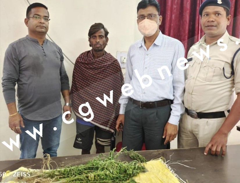 कोरबा के उन्नत किसान ने खेती को बढ़ावा देने के लिए बाड़ी में लगाया ऐसा फसल की पहुँच गया जेल