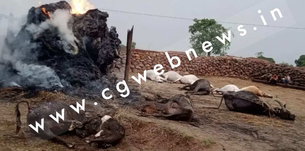 छत्तीसगढ़ में आकाशिय बिजली का कहर , एक दर्जन से अधिक की मौत , परिवार में पसरा सन्नाटा