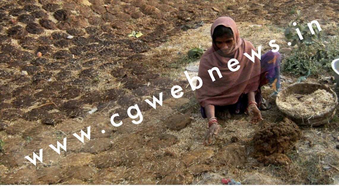 छत्तीसगढ़ सरकार अब दो रुपये में नही बल्कि इतने रुपये प्रति किलो के हिसाब से खरीदेगी गोबर