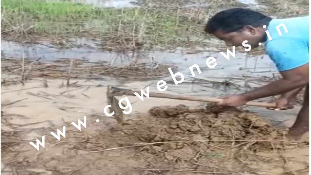 सक्ती से बड़ी खबर , राहुल का गाँव पिहरीद फिर आया चर्चा में , गाँव मे घट रही है अजीब घटनाएं , पढ़े पूरी खबर
