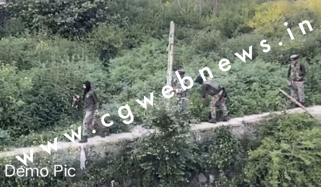 छत्तीसगढ़ से बड़ी खबर , कोबरा 210 बटालियन का जवान नदी में बहा , तलाश जारी