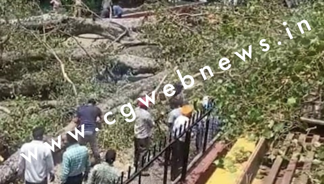 कॉर्मेल कॉन्वेंट स्कूल में 250 साल पुराना पेड़ गिरा , एक बच्चे की मौत और 20 घायल