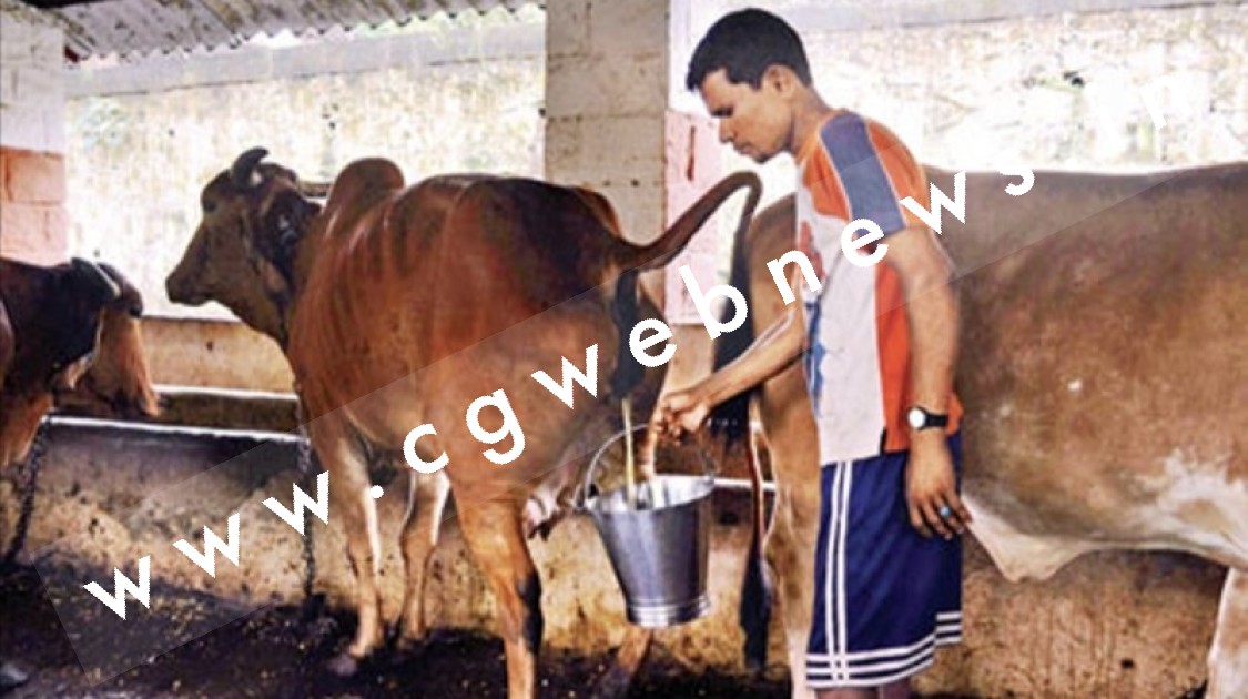 जिले के दो गोठनो में 20 जुलाई से शुरू होगी गौमूत्र की खरीदी , गौ पालकों की आय में होगी वृद्धि