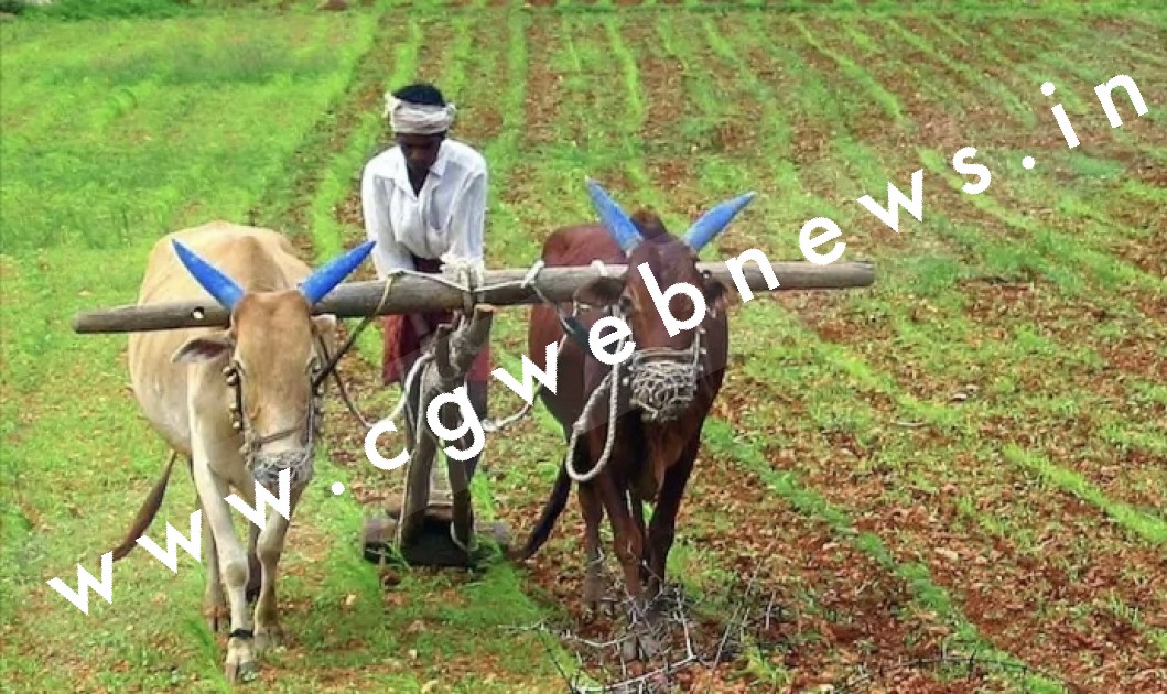 छत्तीसगढ़ में पट्टाधारी किसान बनेंगे कृषि भूमि के मालिक , सरकार ने किया कानून में संशोधन