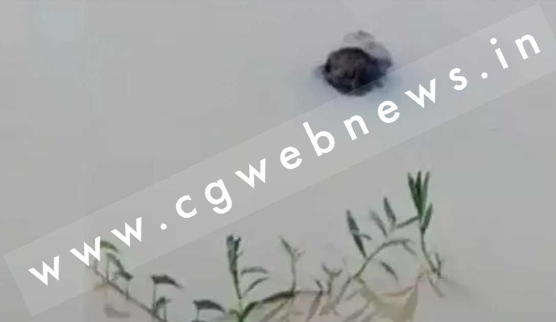 युवक की तालाब में लाश मिलने से मची सनसनी , पुलिस जाँच में जुटी