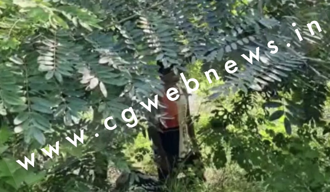 छत्तीसगढ़ - झाड़ियों में फंदे पर लटका मिला युवक का शव , इलाके में फैली सनसनी , पुलिस जाँच में जुटी