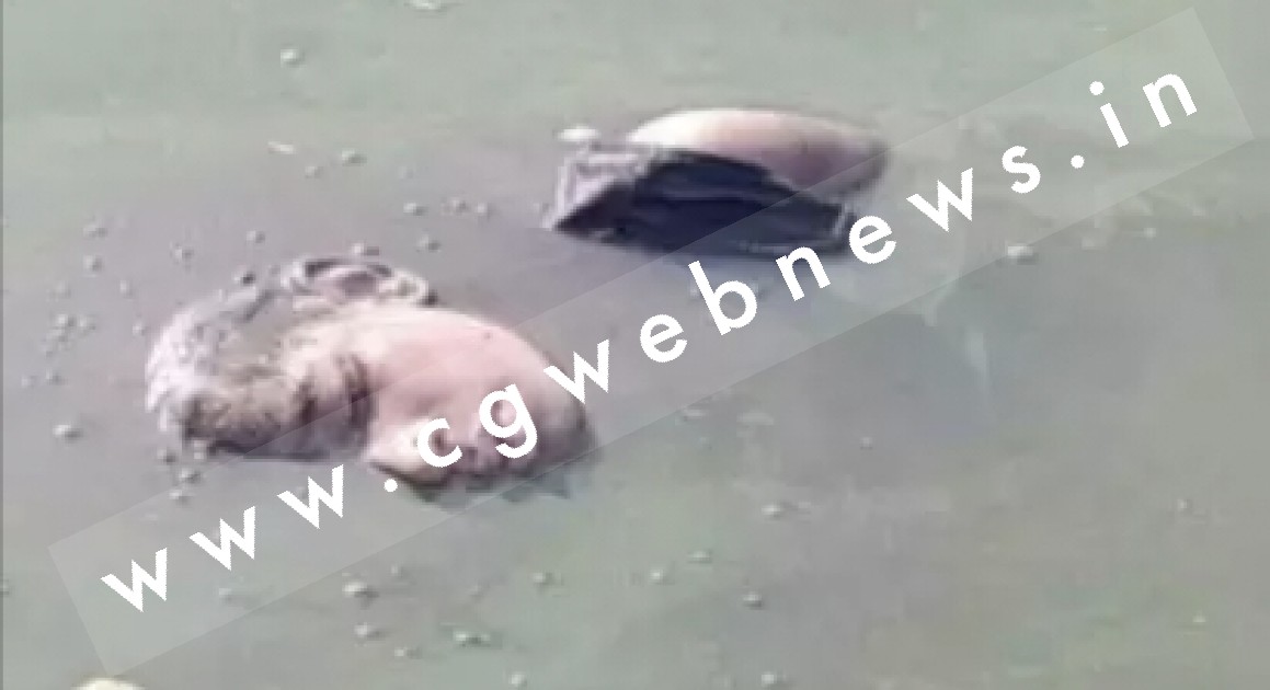 बंधवा तालाब में दो दिन से लापता छठवीं की छात्रा की लाश मिलने से मची सनसनी , पुलिस जाँच में जुटी