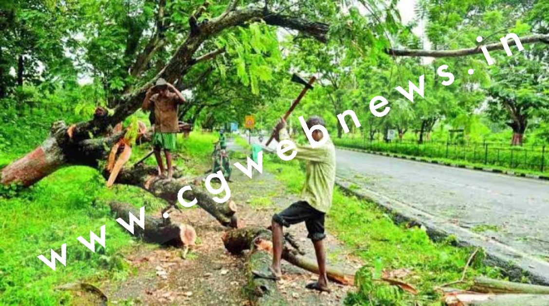 छत्तीसगढ़ में पेड़ों की कटाई के लिए बने नियमो में बदलाव , अब पेंड़ो को काटने के लिए नहीं लेनी होगी अनुमति