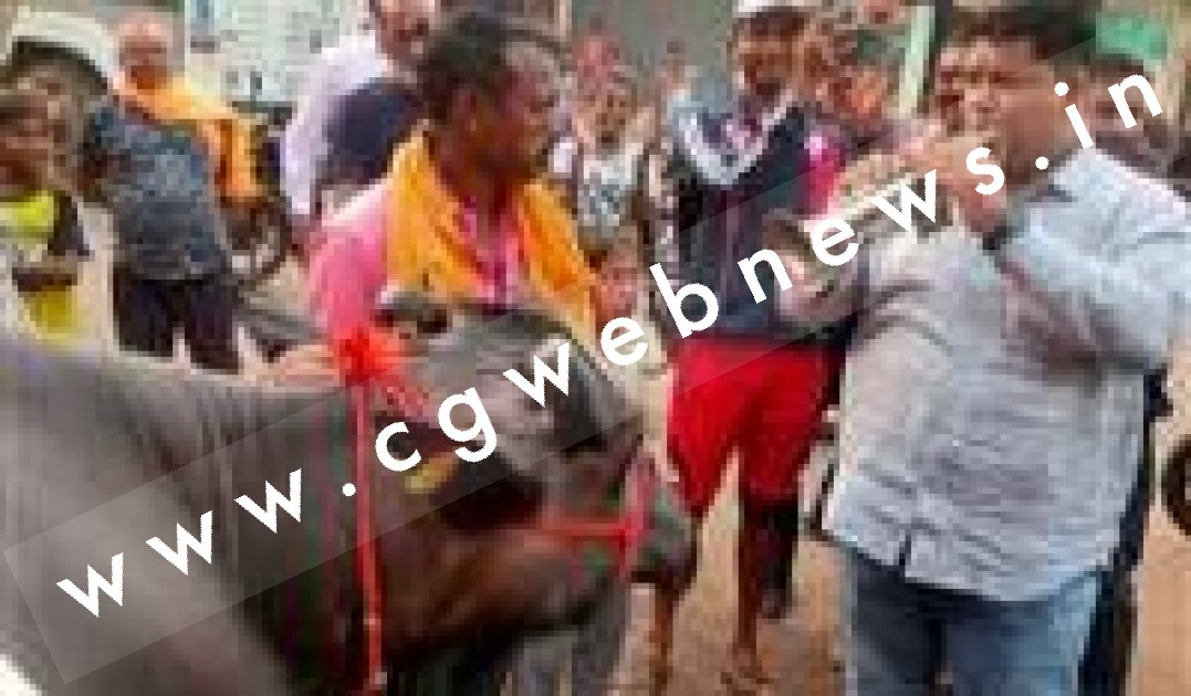 छत्तीसगढ़ - शराब दुकान के खिलाफ अनोखा प्रदर्शन , भैंस लेकर थाने पहुंचे पार्षद और भैस के सामने बजाई बीन