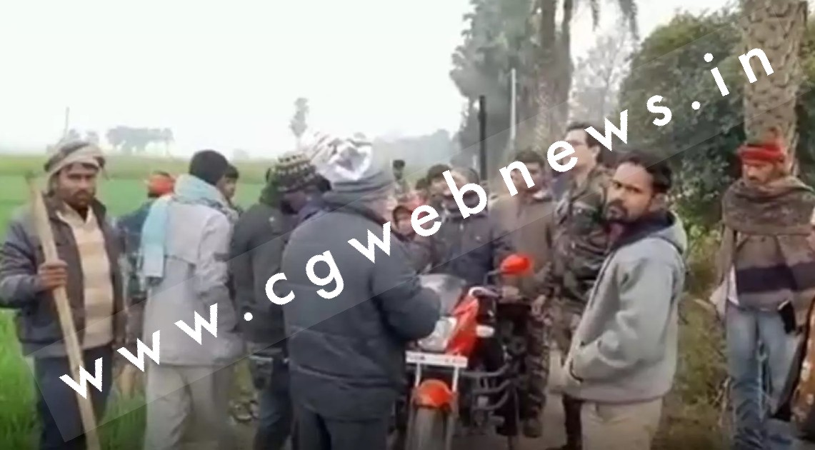 खूंखार हो चुके आवारा कुत्तों का हो रहा है एनकाउंटर , तीन दिनों के भीतर 41 कुत्ते ढेर