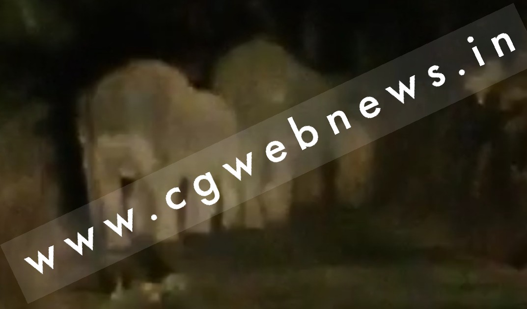 BIG BREAKING - सक्ती वापस पहुँचा हाथियों का झुण्ड , कँहा है हाथियों का यह दल , पढ़े इस खबर में