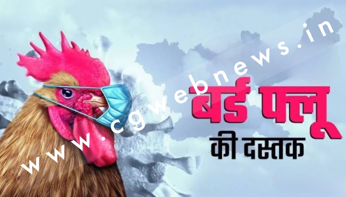 केंद्रीय मंत्री के आवास पर मुर्गियों की मौत से बर्ड फ्लू की पुष्टि , पूरे महकमे में मचा हड़कंप