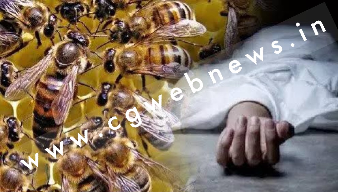 मजदूरों को बता रहे थे सुरक्षा के तरीके , मधुमक्खियों ने बोला हमला , एक की मौत और 40 से अधिक घायल