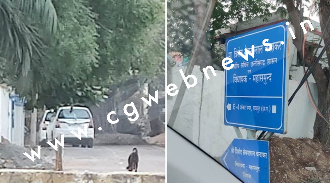 छत्तीसगढ़ में एक बार फिर ED की छापेमारी , बड़े उद्योगपतियों के ठिकानों पर दबिश