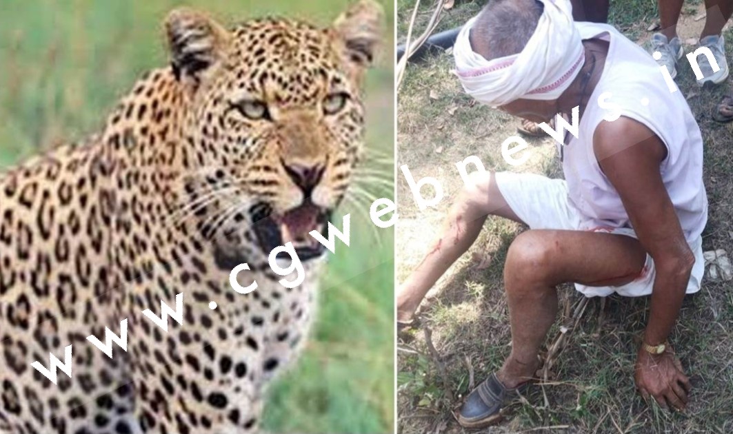 तेंदुए ने डिप्टी रेंजर सहित चार लोगों पर किया जानलेवा हमला , दो की हालत गंभीर