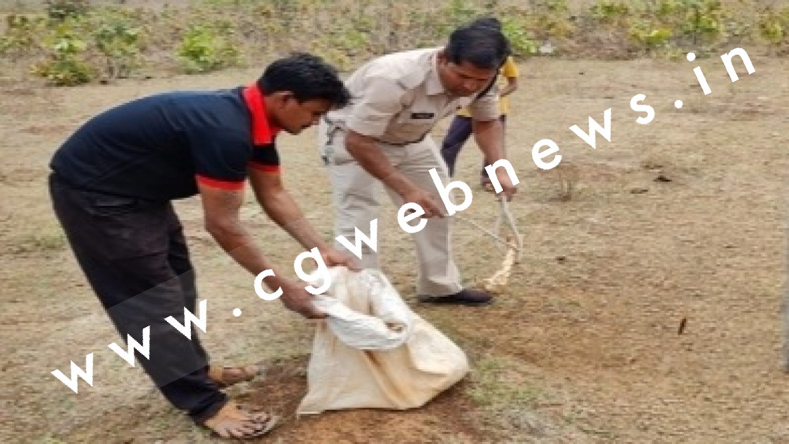 छत्तीसगढ़ - गोठान के पास नर कंकाल मिलने से मची सनसनी , पुलिस जाँच में जुटी