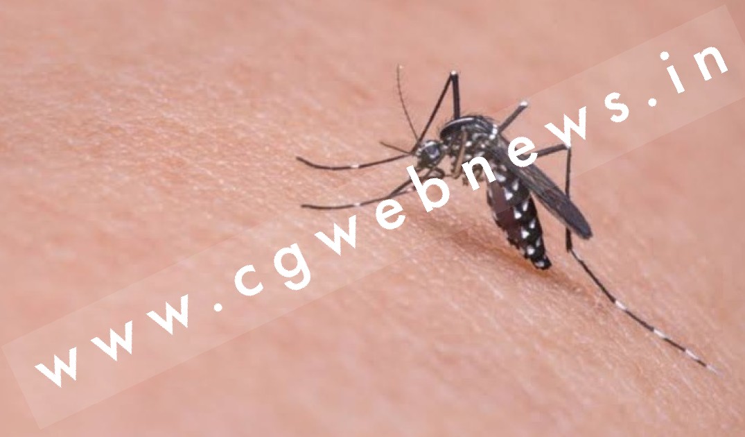छत्तीसगढ़ - पुलिस ने मच्छर को किया गिरफ्तार , जाने मच्छर पर क्या है आरोप