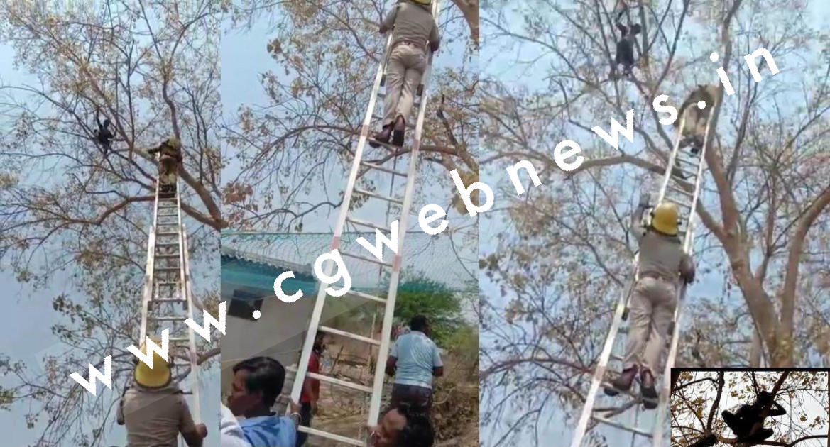 जांजगीर चाम्पा - पिछले 13 घंटे से 40 फीट की ऊँचाई में चढ़ा है युवक , इस बात को लेकर कर रहा है हाईवोल्टेज ड्रामा