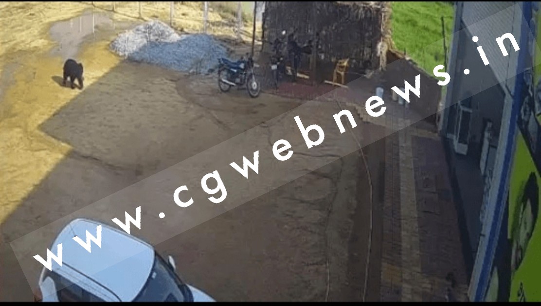 छत्तीसगढ़ - दुकान में पहुंचा भालू , मची अफरातफरी , लोगों ने भागकर बचाई जान