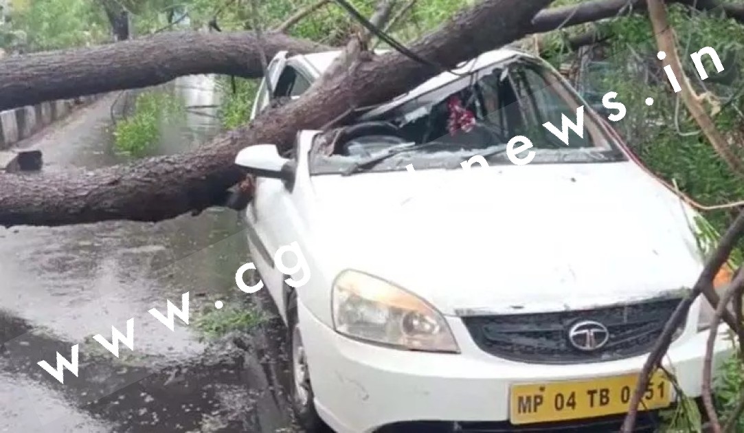 तेज आँधी से चलती कार के ऊपर बड़ा पेंड़ गिरा , कार सवार सभी लोग सुरक्षित