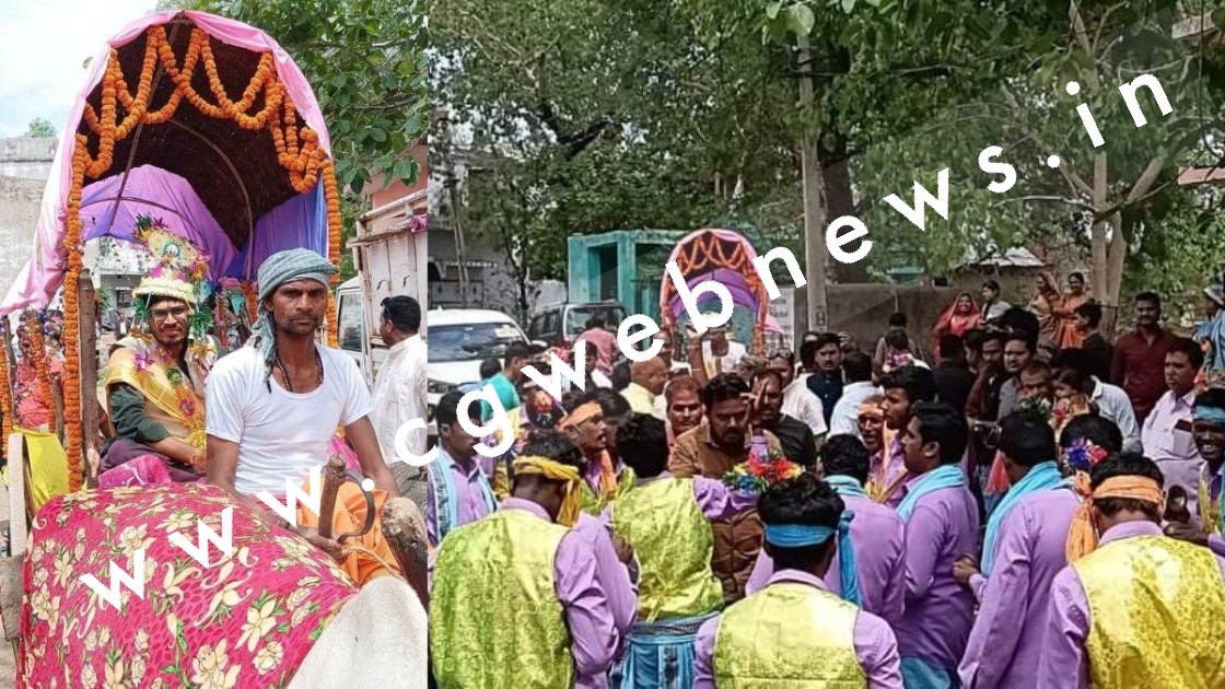 जांजगीर चाम्पा - पारंपरिक वेशभूषा में बैलगाड़ी पर निकली इंजीनियर की बारात , देखने वालों ने खूब की सराहना