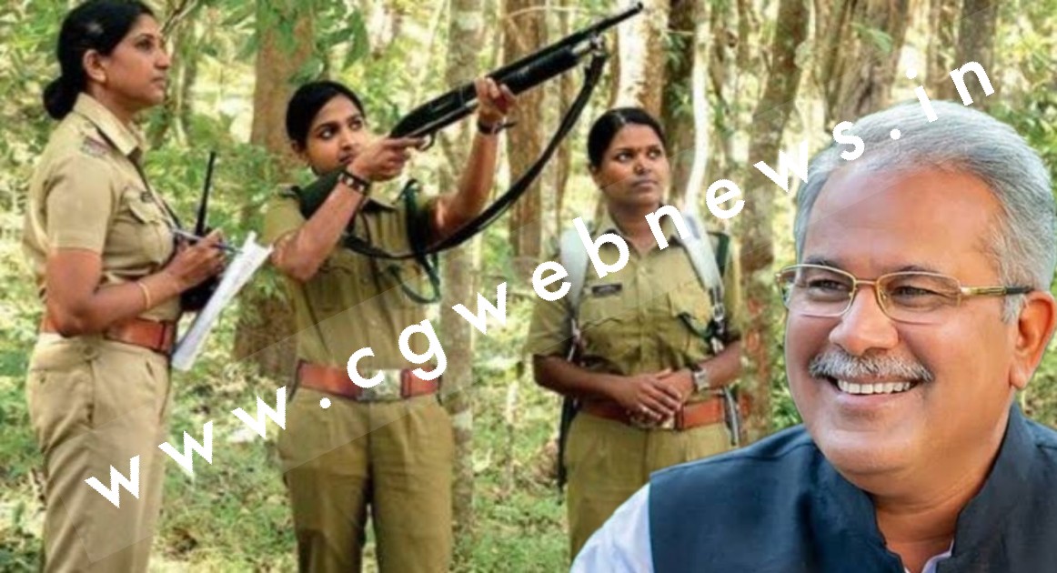 वन एवं जलवायु परिवर्तन विभाग में 1920 पदों पर भर्ती प्रक्रिया शुरु , देखे रिक्त पदों की जानकारी