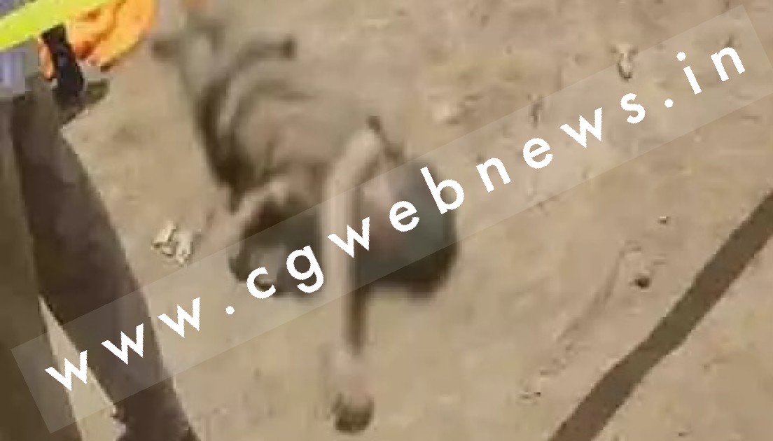 छत्तीसगढ़ - बिजली ऑफिस परिसर में संदिग्ध हालत में लाश मिलने से मची सनसनी , पुलिस जांच में जुटी