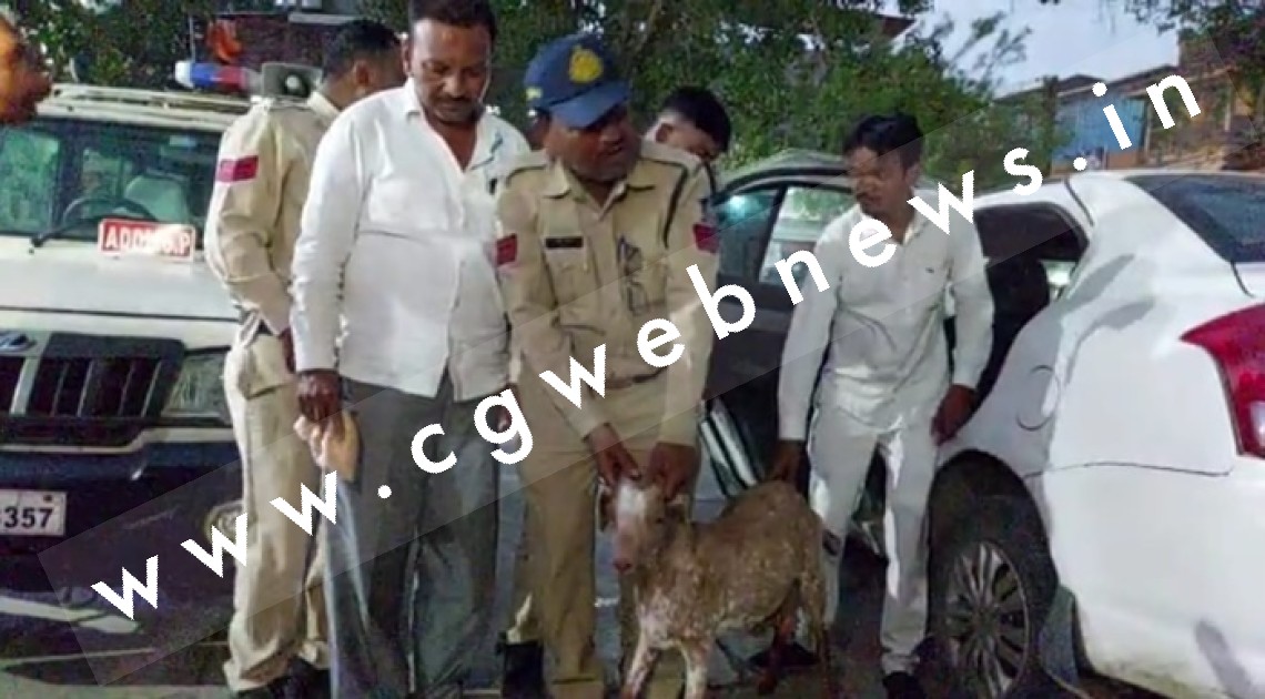 लक्जरी कार से युवक कर रहे थे बकरियां चोरी , CCTV में कैद हुई वारदात , पुलिस ने जप्त की कार