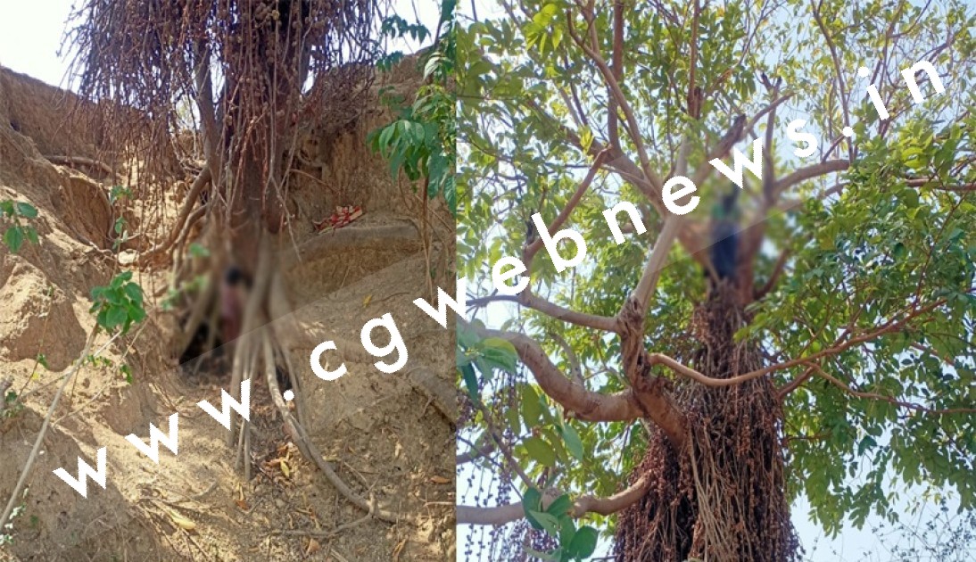 छत्तीसगढ़ - 07 माह में पैदा हो गई थी बच्ची , पति का मानना था कि भूत ने पैदा किया है बच्ची को , बच्ची सहित माँ फाँसी पर झूली