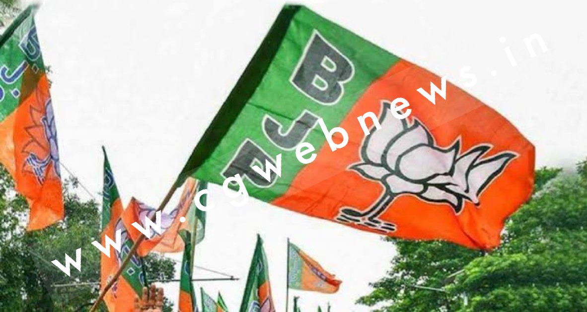 छत्तीसगढ़ - भाजपा में बड़ा फेरबदल , हटाये गए जिलाध्यक्ष और संगठन प्रभारी