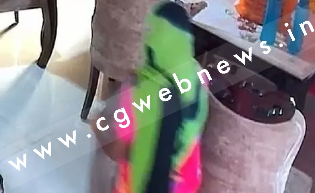 अपने पेशाब से मालिक के घर मे पोछा लगाती थी नौकरानी , CCTV में कैद हुई करतूत