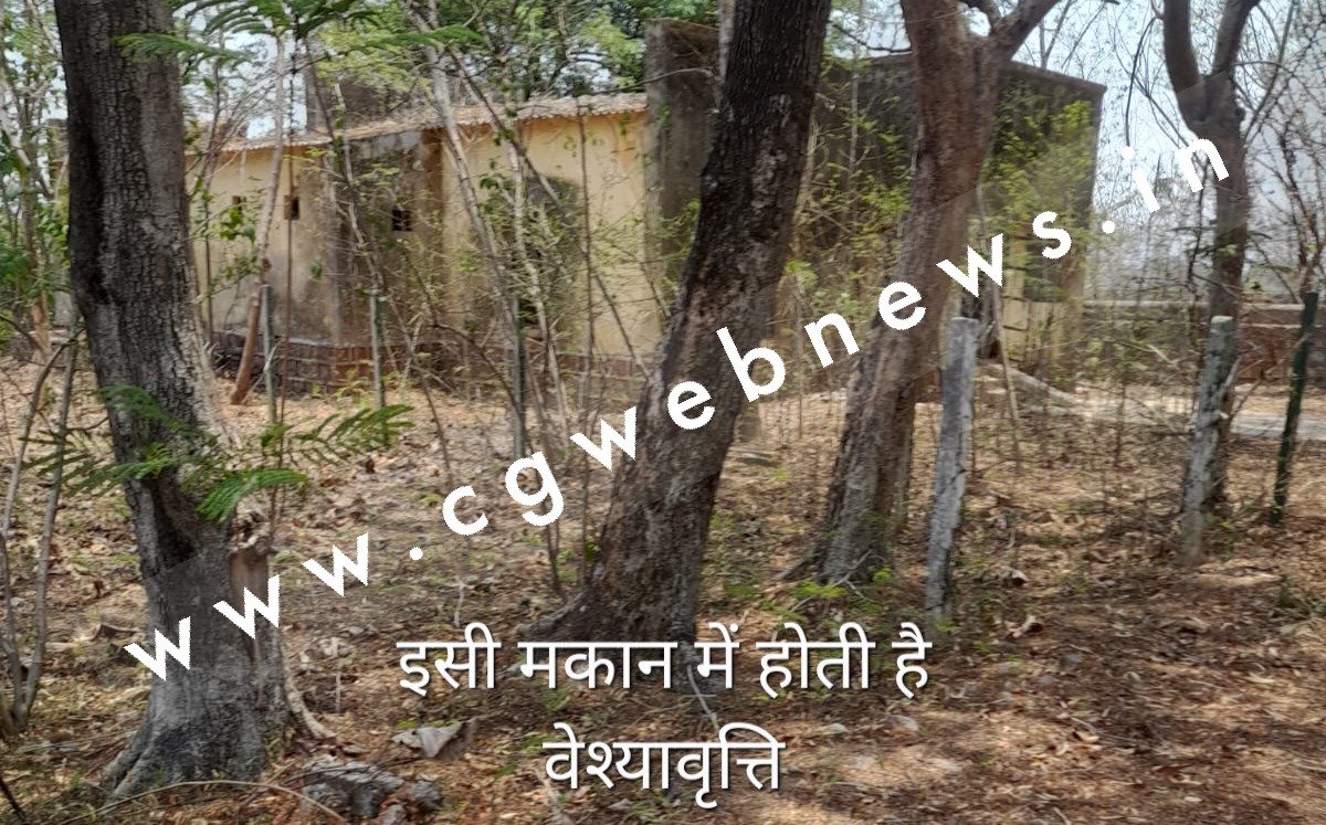 सक्ती - वन प्रशिक्षण शाला का यह जगह बना देह ब्यापार का अड्डा , दिन हो या रात हर वक्त यँहा होता है वेश्यावृत्ति