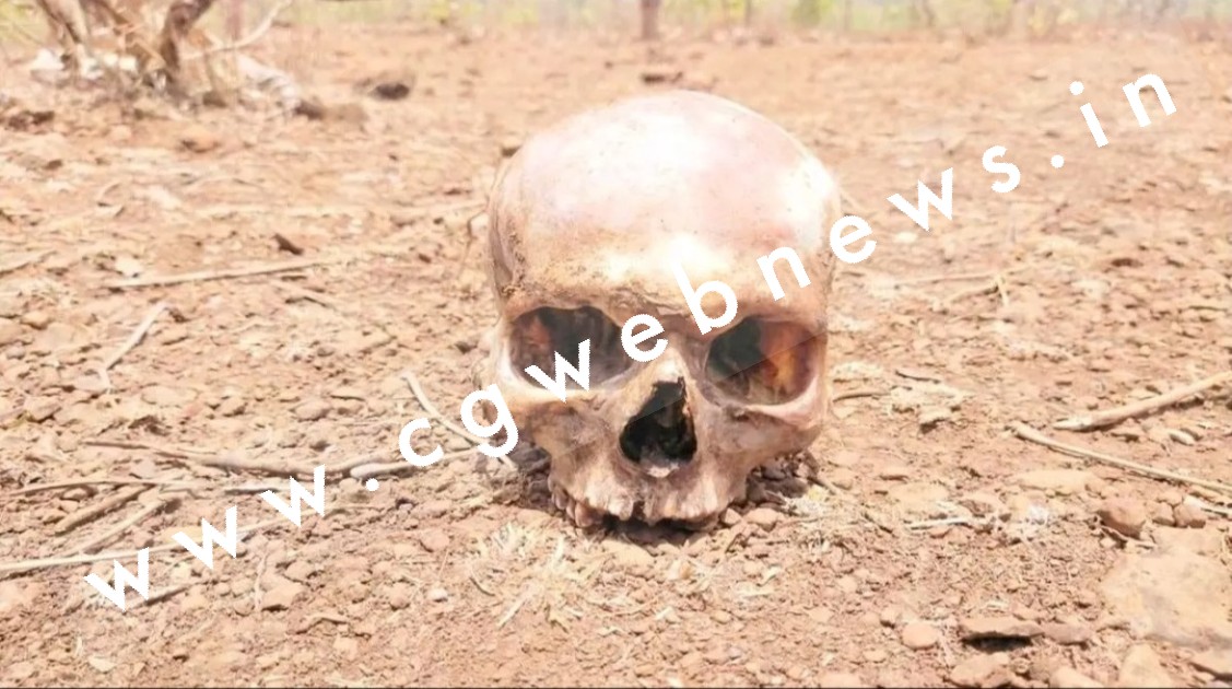 जंगल मे मानव खोपड़ी मिलने से मची सनसनी , पुलिस जांच में जुटी