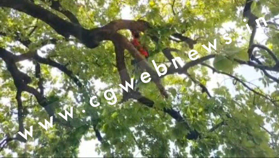 दो नाबालिग सगी बहनों ने फाँसी लगा कर की खुदकुशी , गाँव मे पसरा सन्नाटा