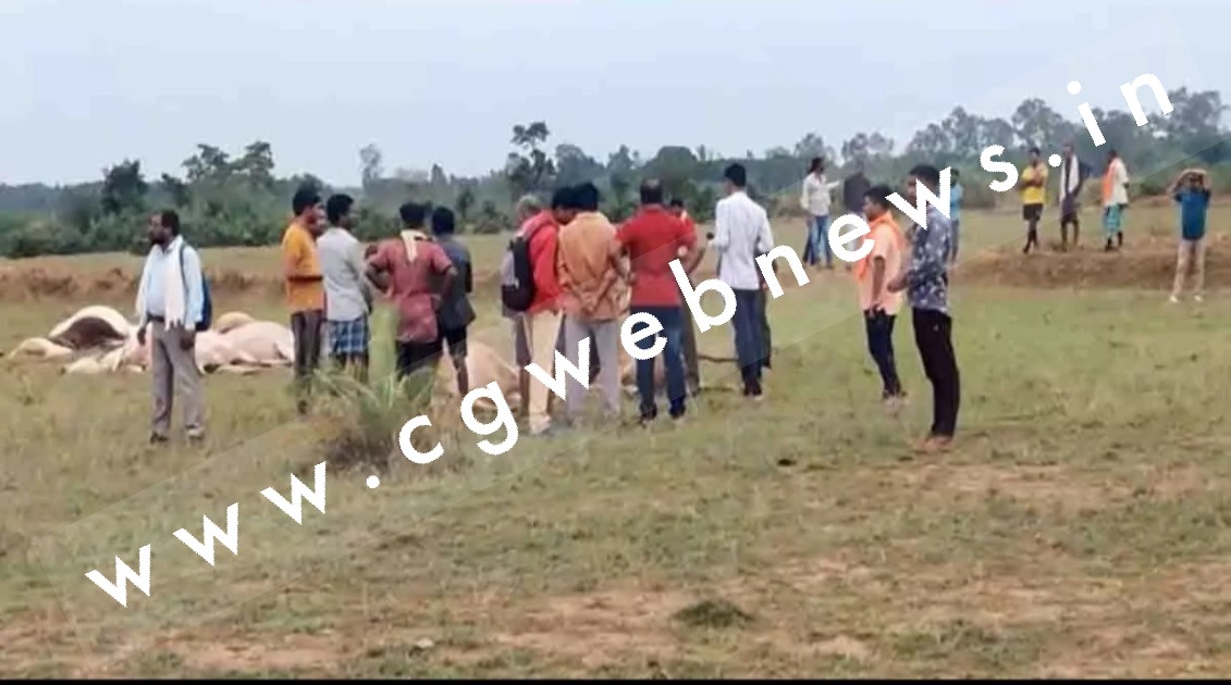 छत्तीसगढ़ - CSEB की लापरवाही से गाँव मे फैला करेंट , करंट से 14 की मौत , मुआवजे का एलान