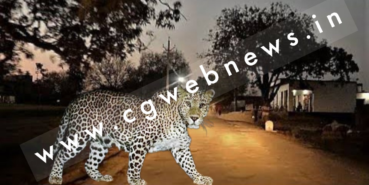 छत्तीसगढ़ - गाँव मे तेंदुए का आतंक , रतजगा करने को मजबूर ग्रामीण , वन विभाग बेखबर