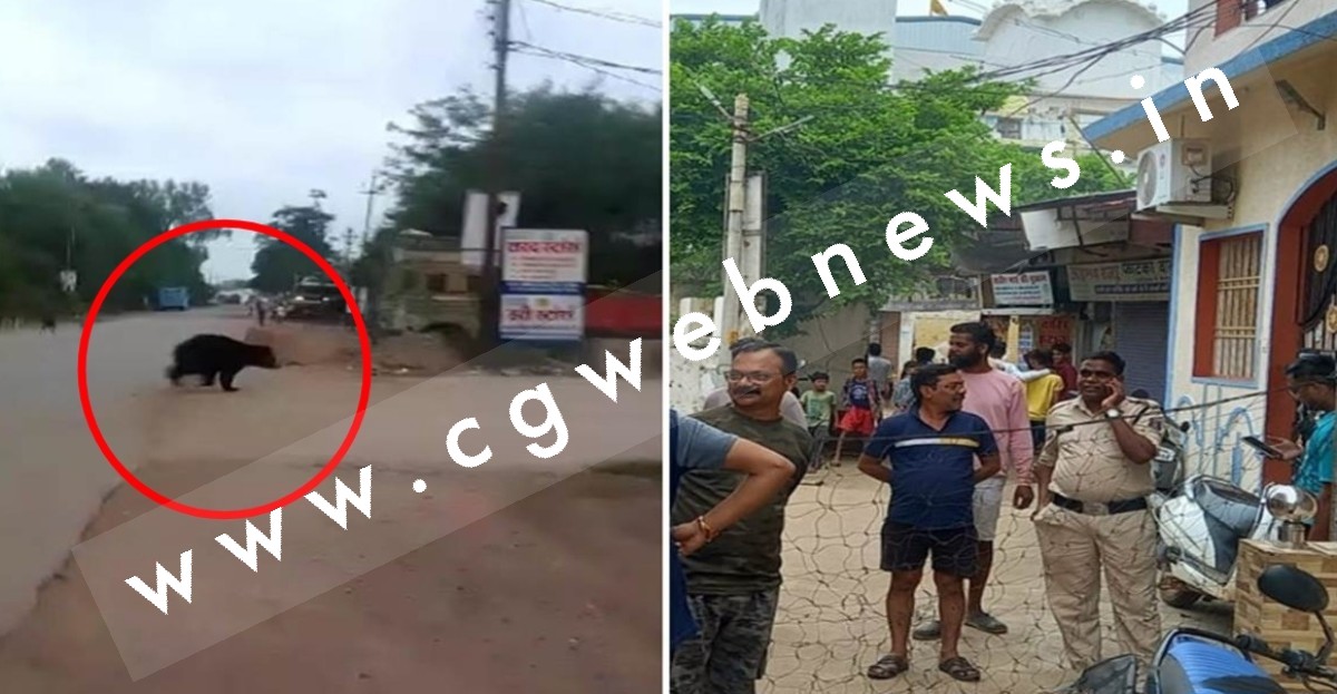 छत्तीसगढ़ - रिहायशी इलाके में घुसा भालू , लोगो मे दहशत का माहौल , वन विभाग मौके पर मौजूद