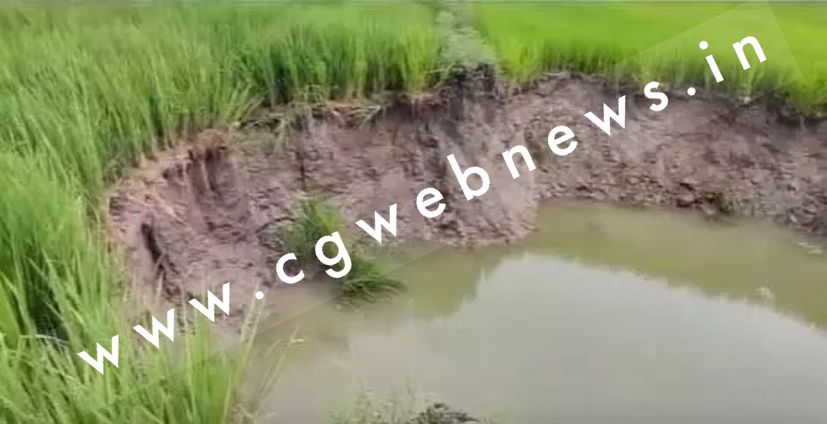 छत्तीसगढ़ - खेत मे हुई चमत्कारिक घटना , देखने के लिए लग रही है लोगो की भारी भीड़