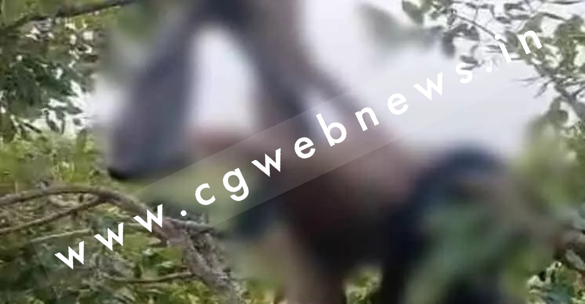 छत्तीसगढ़ - पेंड़ पर लटकते मिली 10 माह के मासूम की लाश , हत्या के आरोप में पिता गिरफ्तार